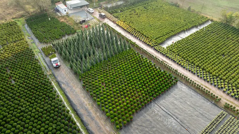 昆山工厂搬迁中大型设备吊装的关键技术要点