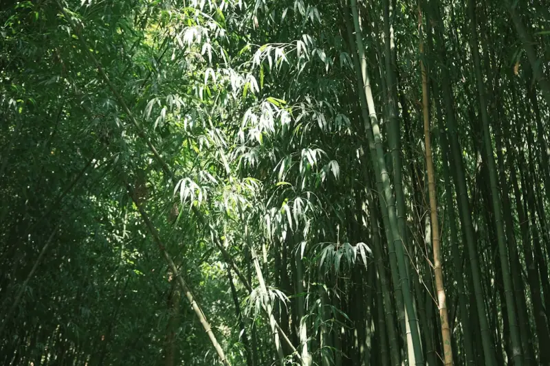 昆山厂房搬迁中起重搬运设备的选型要点与技术规范解析